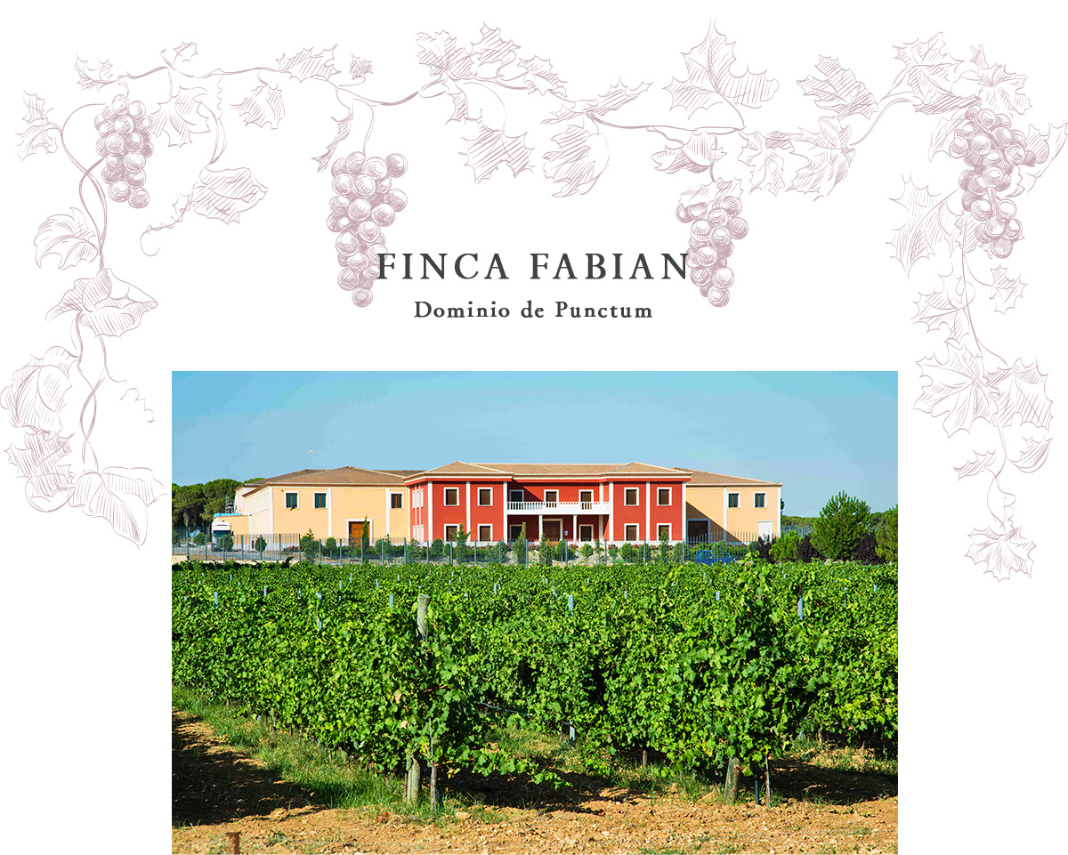 FINCA FABIAN