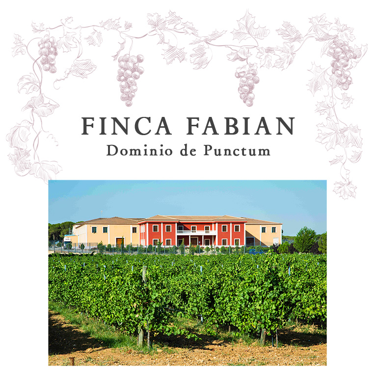 FINCA FABIAN