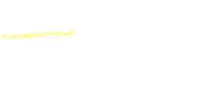 材料 (4人分)・牛肉(ひと口サイズ) 300g・スナップえんどう 4本・ストロガノフのルー(市販) 1箱・オリーブオイル 大さじ1・玉ねぎ 1個・赤ワイン 500cc・バター 15g・塩 少々