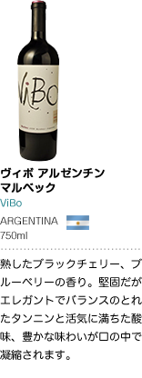 ヴィボ アルゼンチン マルベック ViBo ARGENTINA 750ml 熟したブラックチェリー、ブルーベリーの香り。堅固だがエレガントでバランスのとれたタンニンと活気に満ちた酸味、豊かな味わいが口の中で凝縮されます。