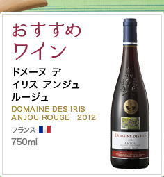 おすすめワイン ドメーヌ デ イリス アンジュ ルージュ DOMAINE DES IRIS ANJOU ROUGE 2012 フランス 980ml