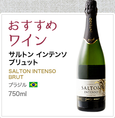 おすすめワイン サルトン インテンソ
ブリュット SALTON INTENSO BRUT ブラジル 750ml