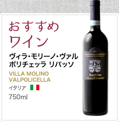 おすすめワイン ヴィラ･モリーノ･ヴァルポリチェッラ リパッソ VILLA MOLINO VALPOLICELLA イタリア 750ml