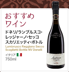 おすすめワイン ドネリ/ランブルスコ・レッジャーノ・セッコ スカリエッティ・ボト Lambrusco Reggiano Secco
Scaglietti Bottle NV Donelli イタリア 750ml