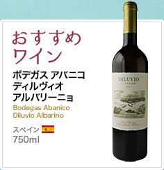 おすすめワイン ボデガス アバニコ ディルヴィオ アルバリーニョ Bodegas Abanico　Diluvio Albarino スペイン 750ml