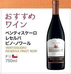 おすすめワイン ベンティスケーロ レセルバ ピノ・ノワール VENTISQUERO RESERVA PINOT NOIR チリ 750ml