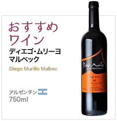 おすすめワイン ディエゴ・ムリーヨ マルベック Diego Murillo Malbec アルゼンチン 750ml