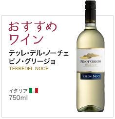 おすすめワイン テッレ・デル・ノーチェピノ・グリージョ TERREDEL NOCE イタリア 750ml