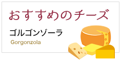 おすすめのチーズ ゴルゴンゾーラ Gorgonzola