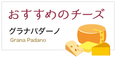 おすすめのチーズ グラナパダーノ Grana Padano