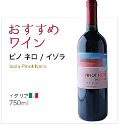 おすすめワイン  ピノ ネロ / イゾラ Isola Pinot Nero イタリア 750ml