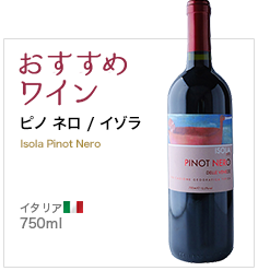 おすすめワイン ピノ ネロ / イゾラ Isola Pinot Nero イタリア 750ml
