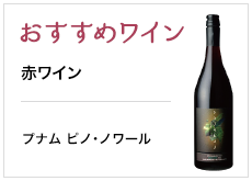 おすすめワイン 赤ワイン プナム ピノ・ノワール